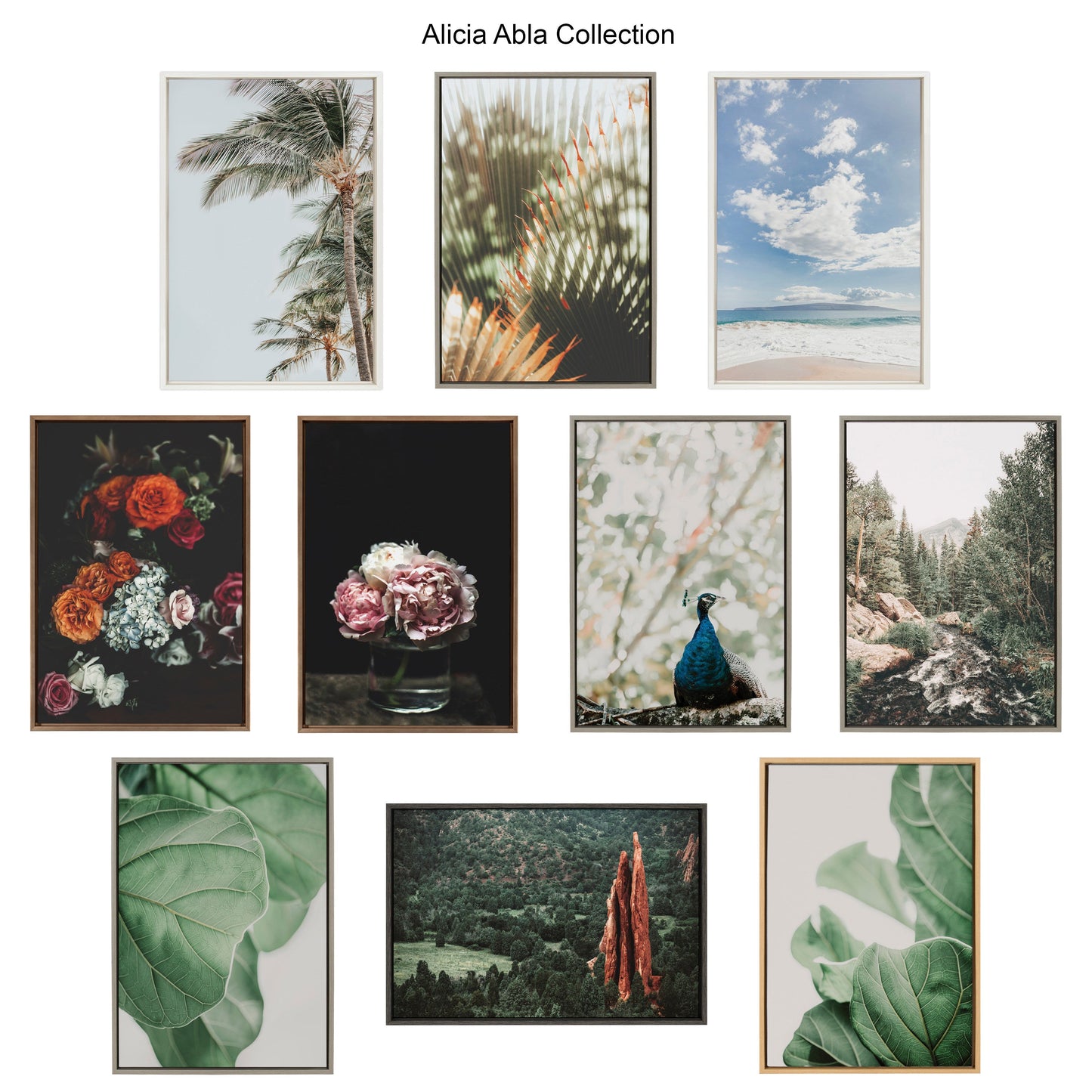 Sylvie Beach Framed Canvas by Alicia Abla