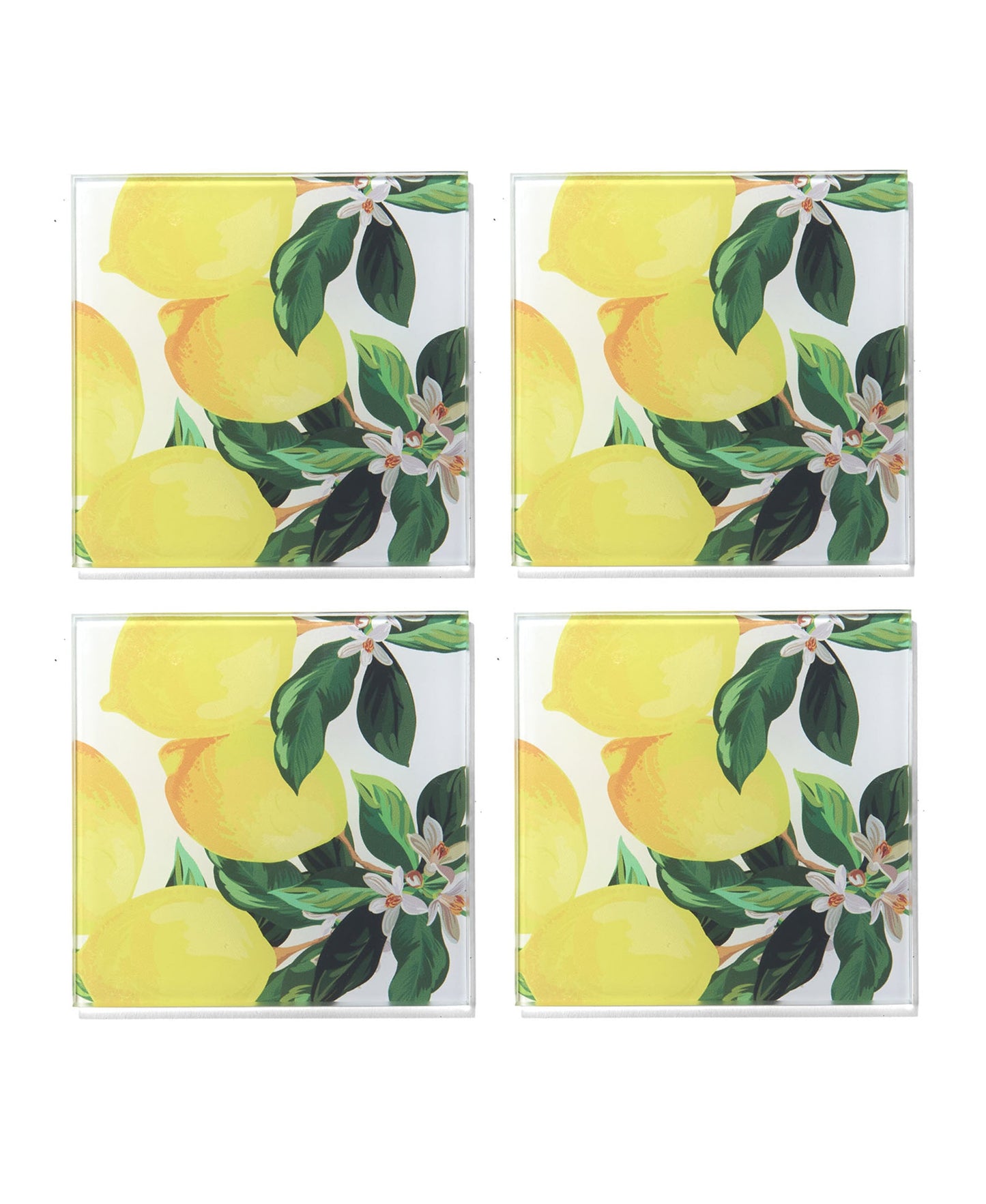 Meyer Lemons Glass Coasters - Set of 4