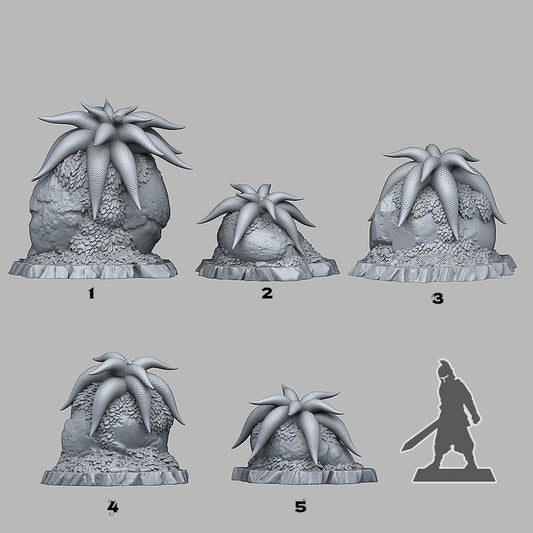 3D Printed Fantastic Plants and Rocks Mysterious Starfish Flowers 28mm - 32mm D&D Wargaming