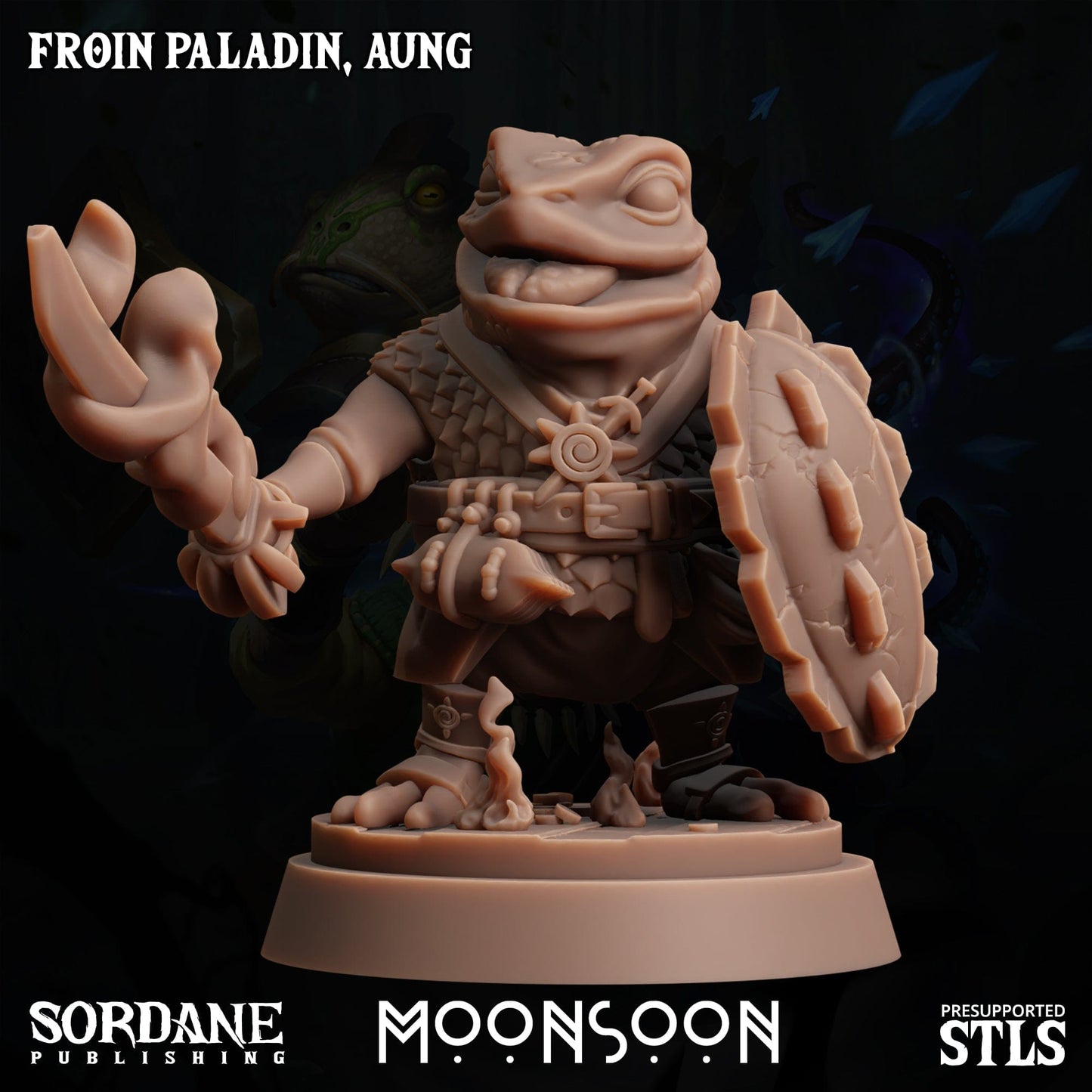3D Printed Sordane Publishing Froin Paladin Aung Moonsoon 28 32mm D&D