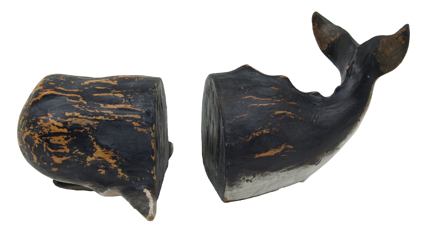 Sperm Whale Bookends