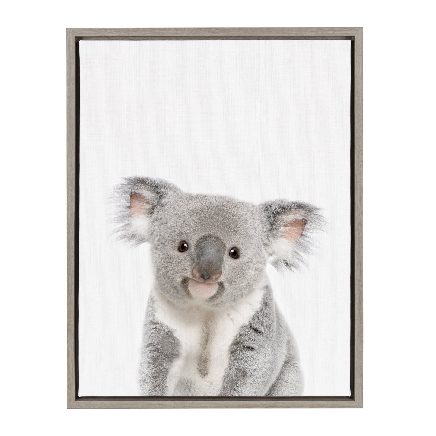 Sylvie Koala Framed Canvas by Amy Peterson Art Studio