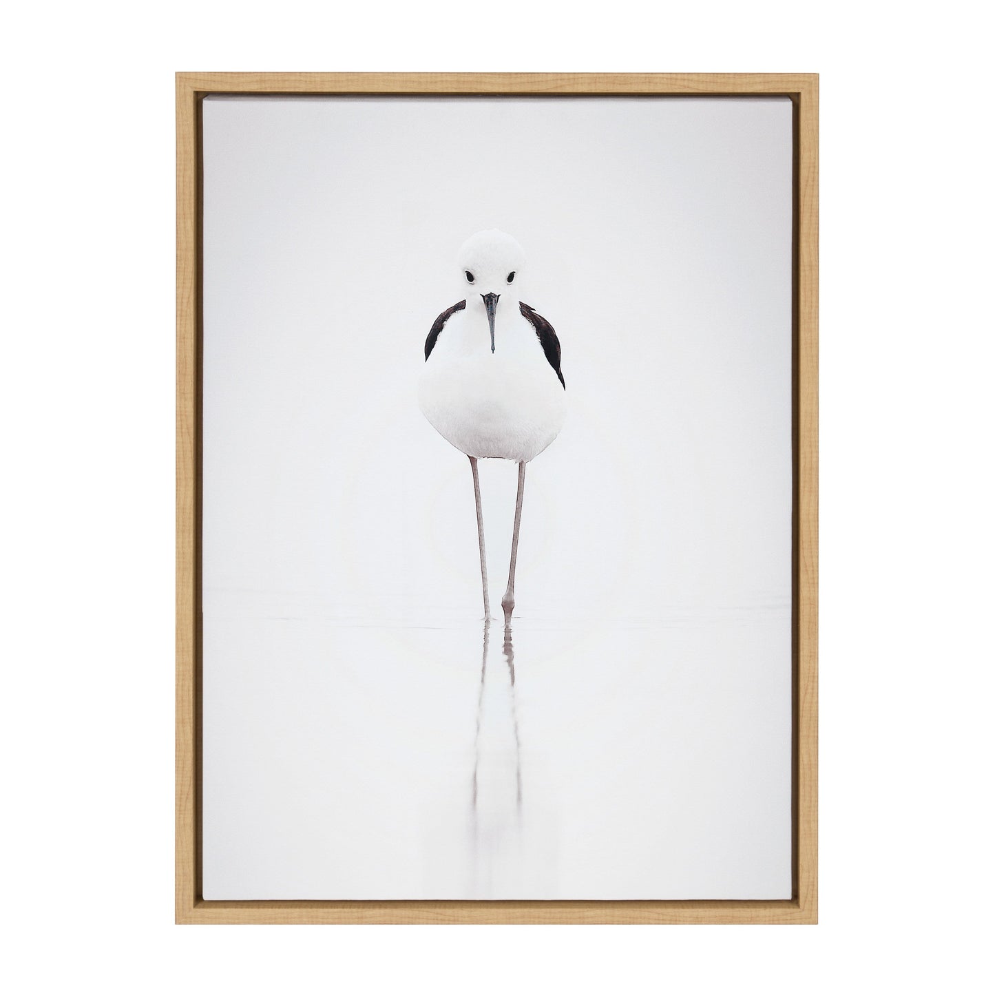 Sylvie Seagull Framed Canvas by Tai Prints
