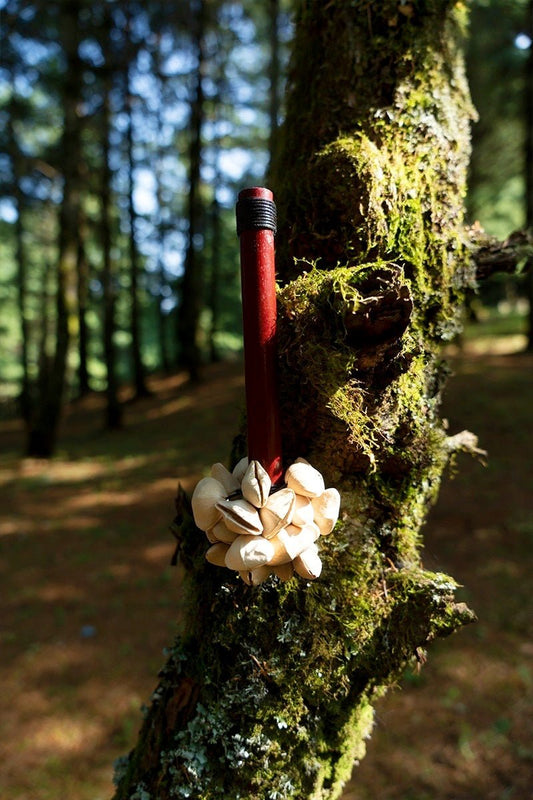 Chacha Oleander Seed Pod Shaker | Handmade Wooden Handle Rainforest Instrument