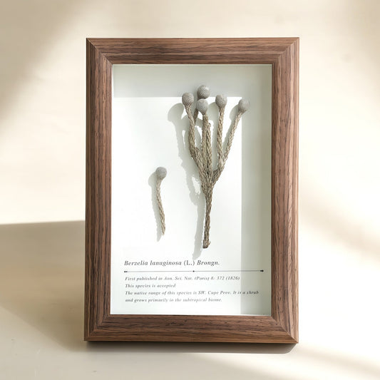 "The Landscape Garden" Real Flower Shadow Box