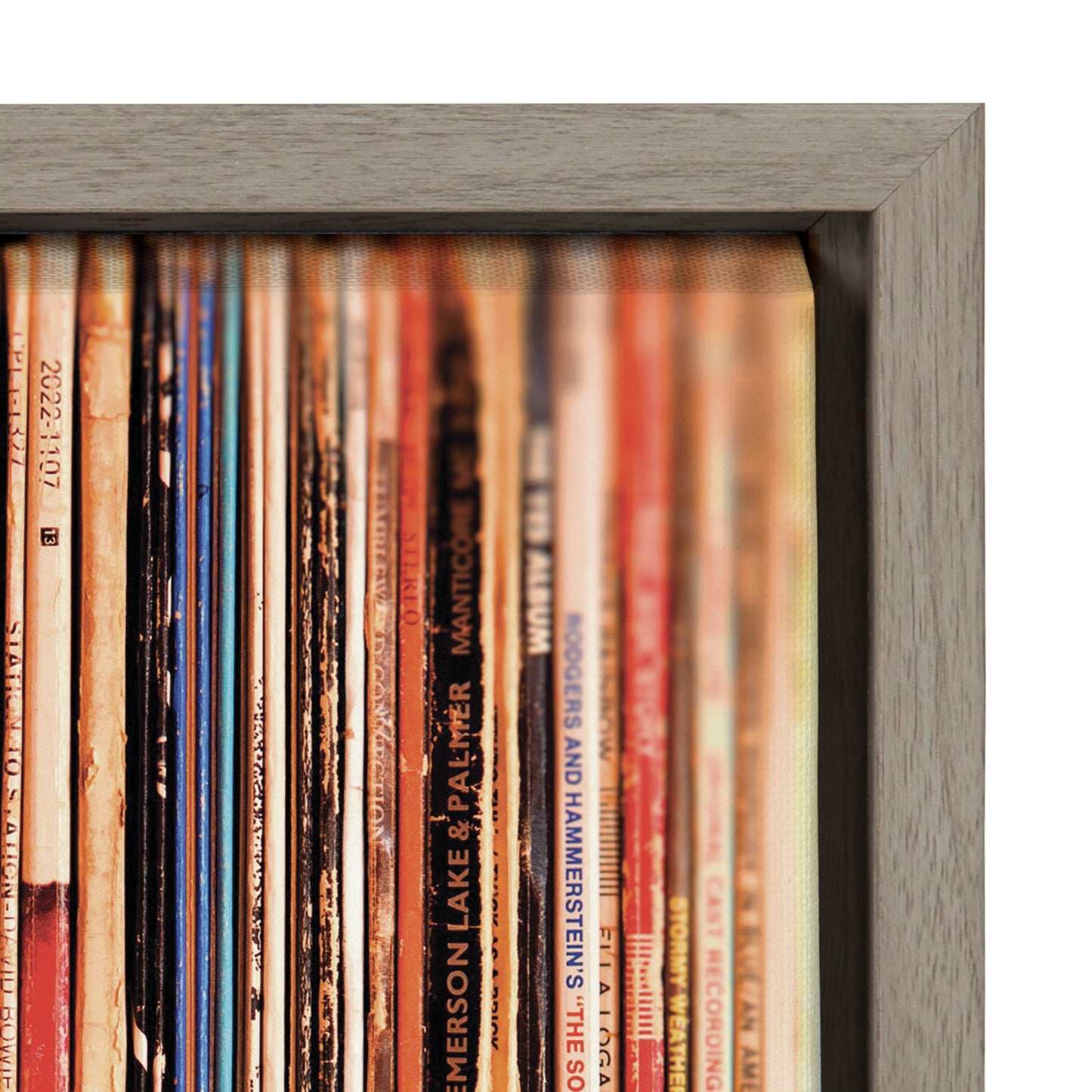 Sylvie Records Framed Canvas by Robert Cadloff of Bomobob