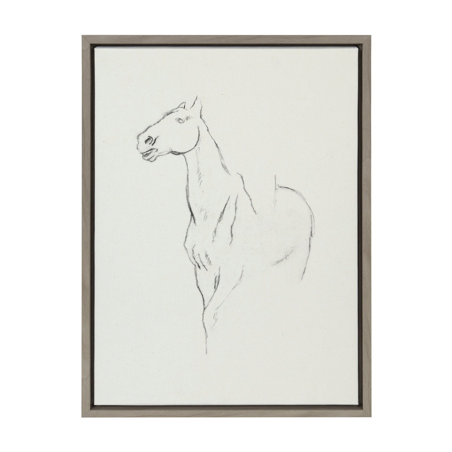 Sylvie Edgar Degas Horse Turned Three Quarters 1880 BW Framed Canvas by The Art Institute of Chicago