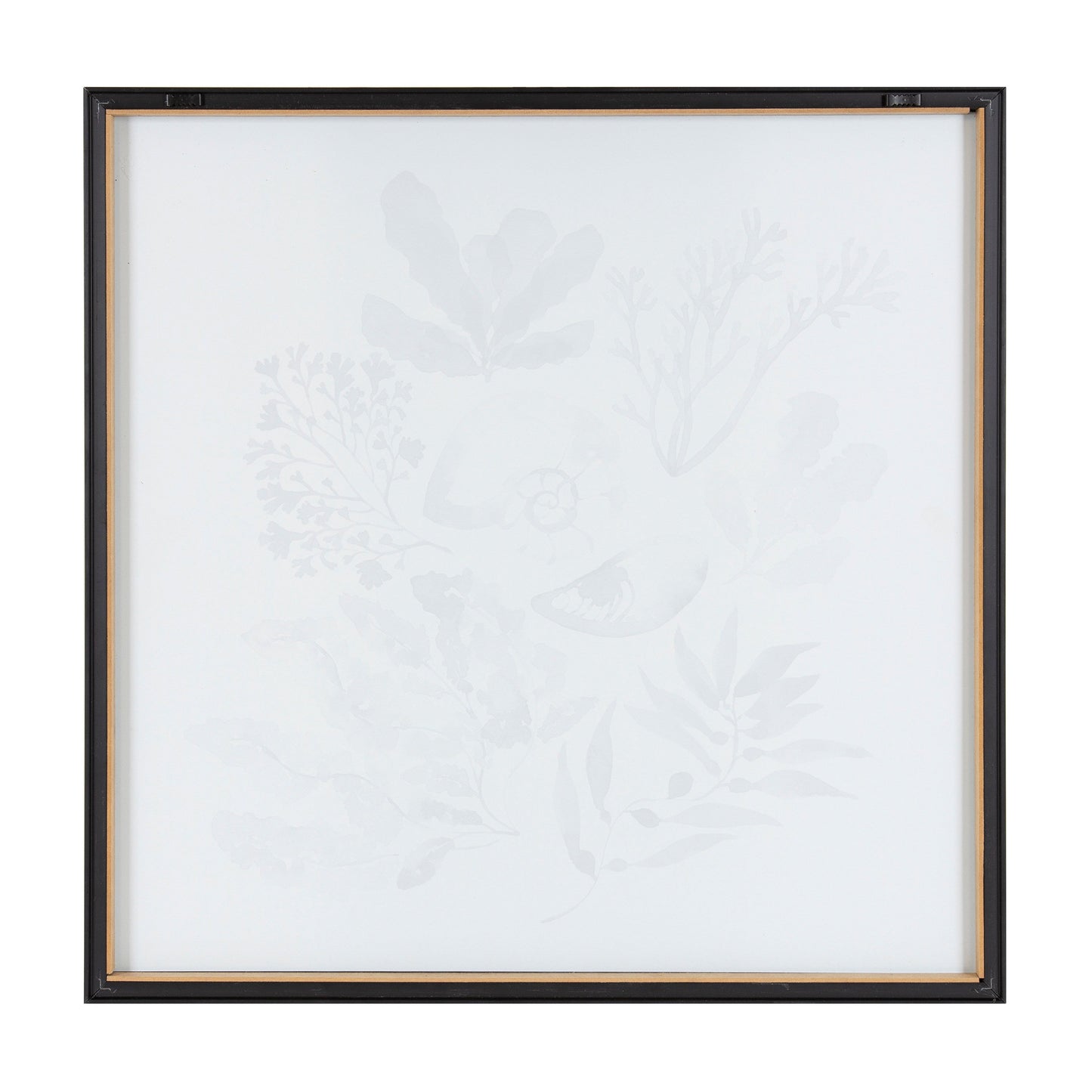 Blake Indigo Shells Framed Printed Acrylic by Sara Berrenson