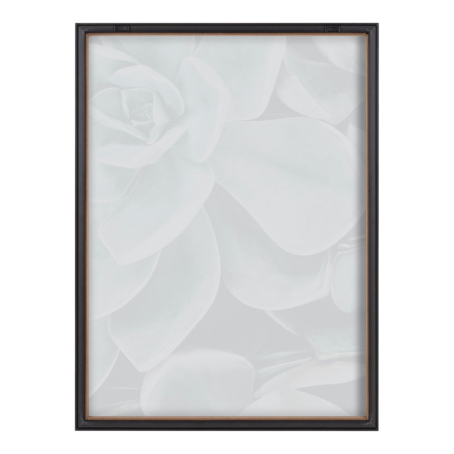 Blake Botanical Succulent Plants 2 Framed Printed Glass by The Creative Bunch Studio