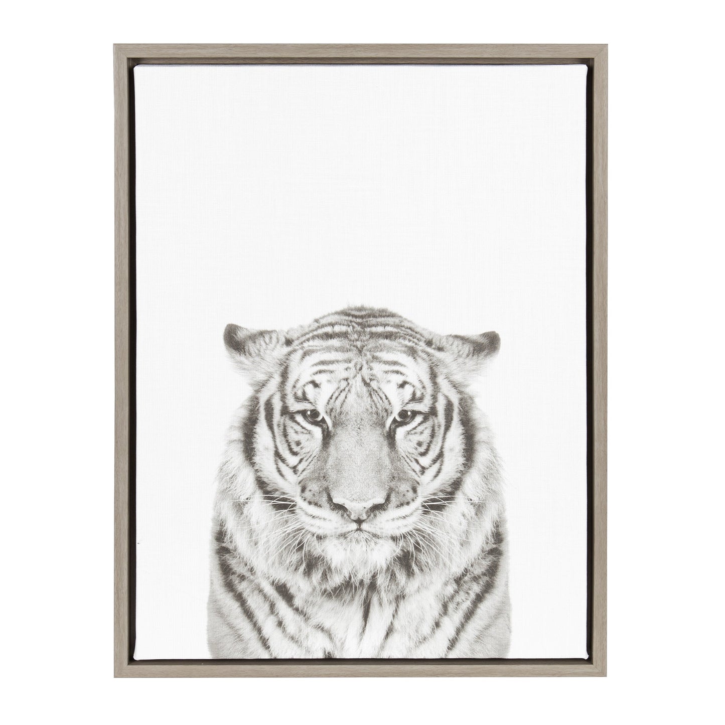 Sylvie Tiger Framed Canvas by Simon Te of Tai Prints