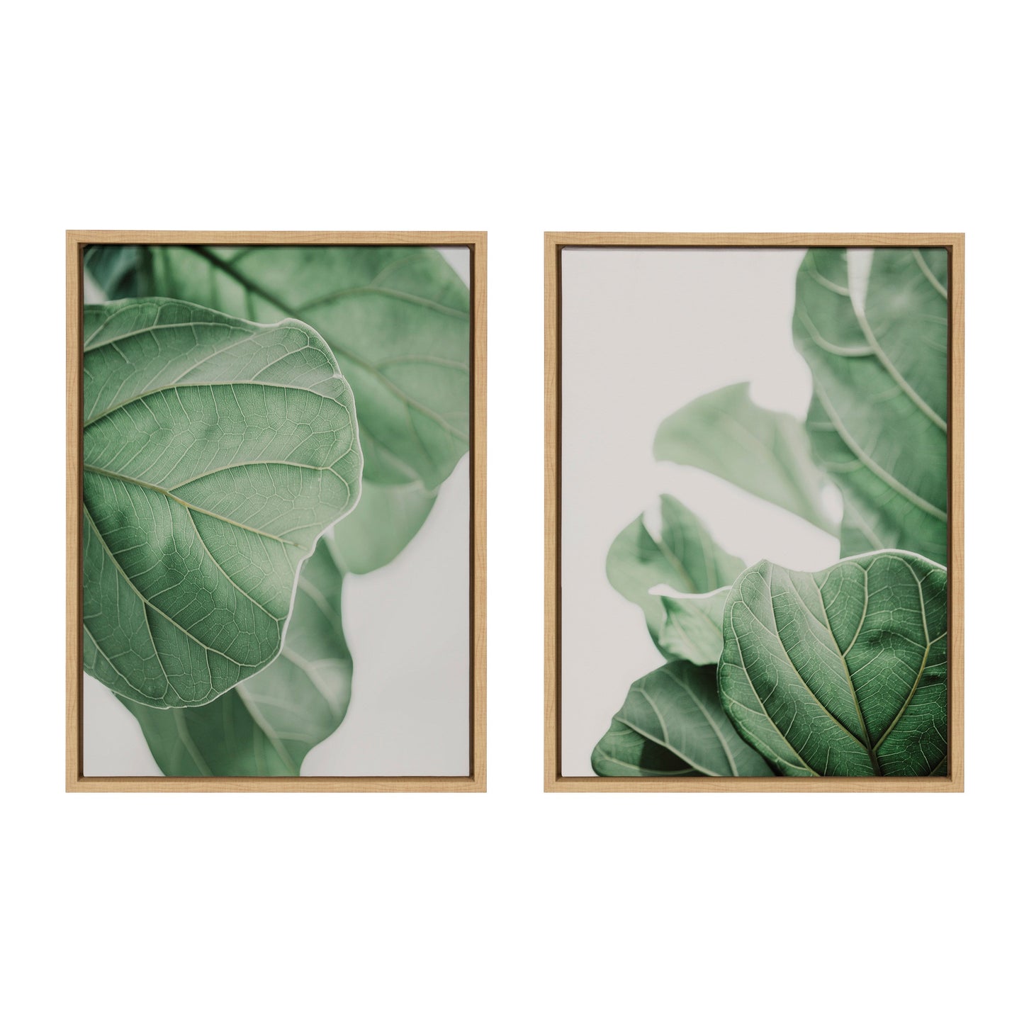Sylvie Plant Study 6 and Plant Study 7 Framed Canvas Set by Alicia Abla