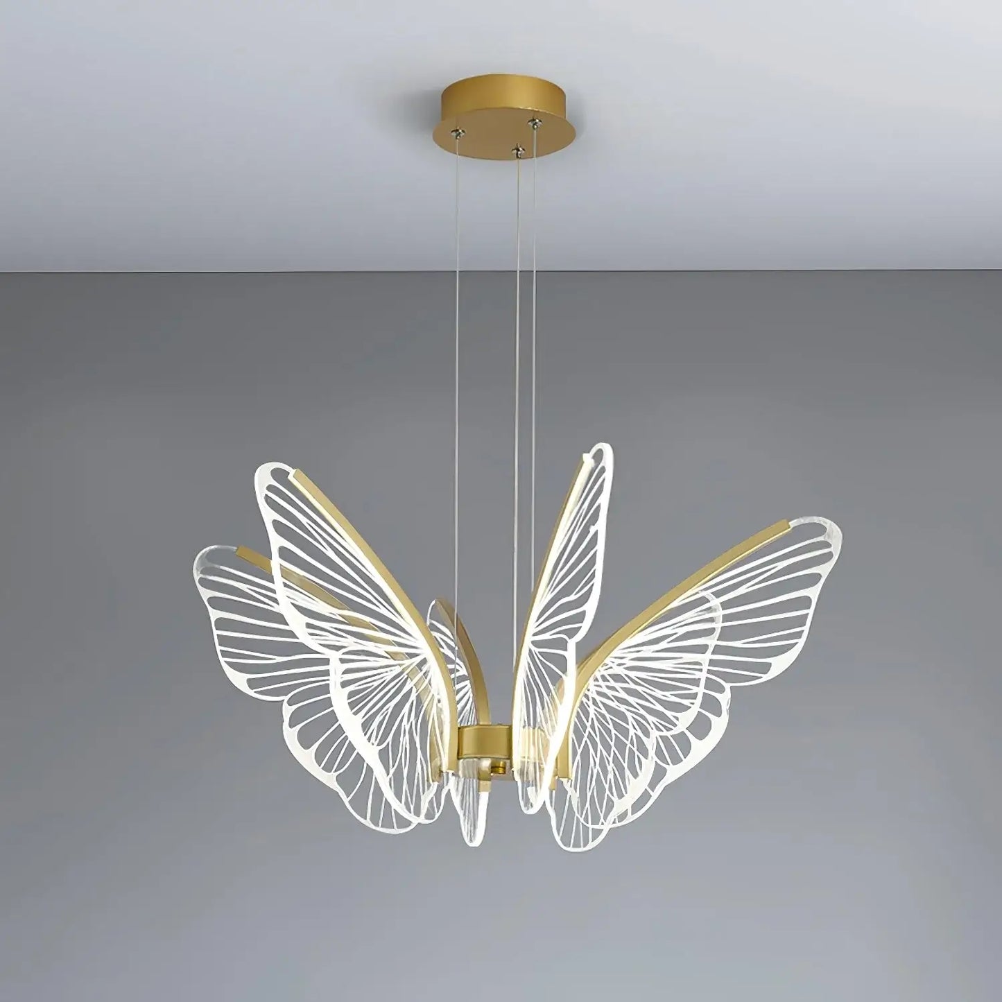 Phalaenopsis Chandelier