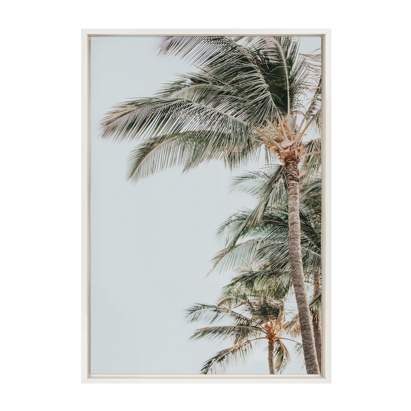 Sylvie Palm Trees Framed Canvas by Alicia Abla