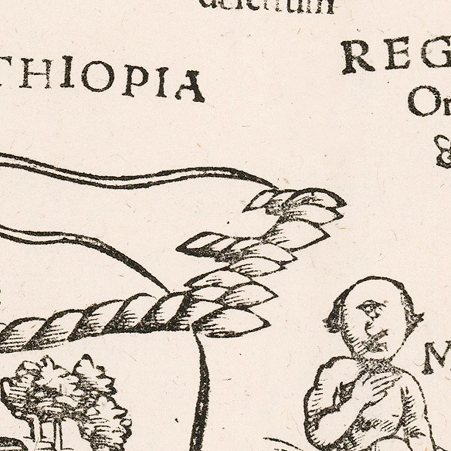 Vintage Africa Map 1574