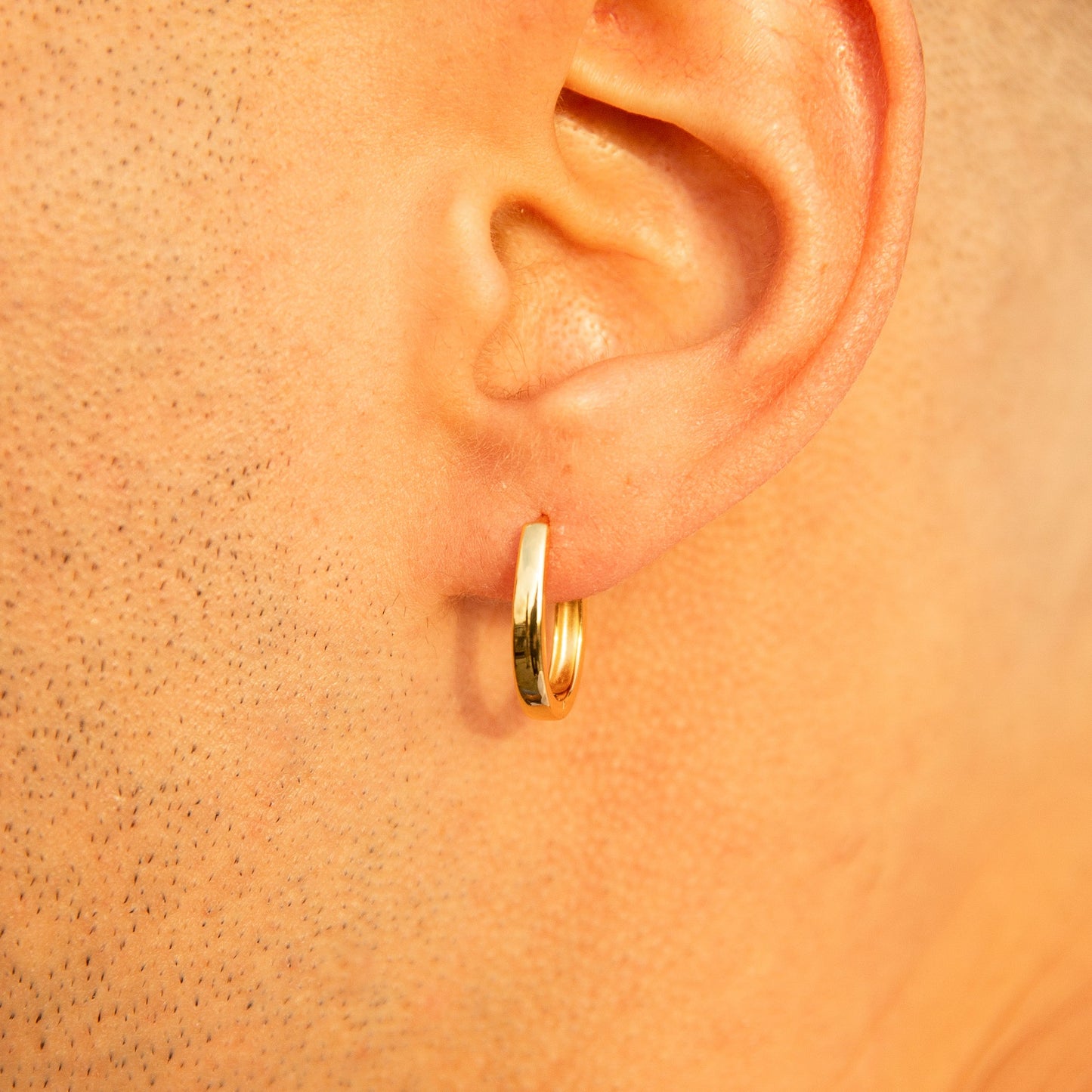 Horseshoe Shaped Hoops