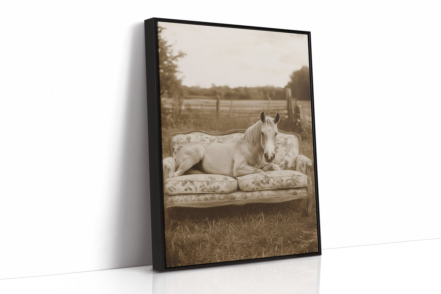 Sofa Stallion