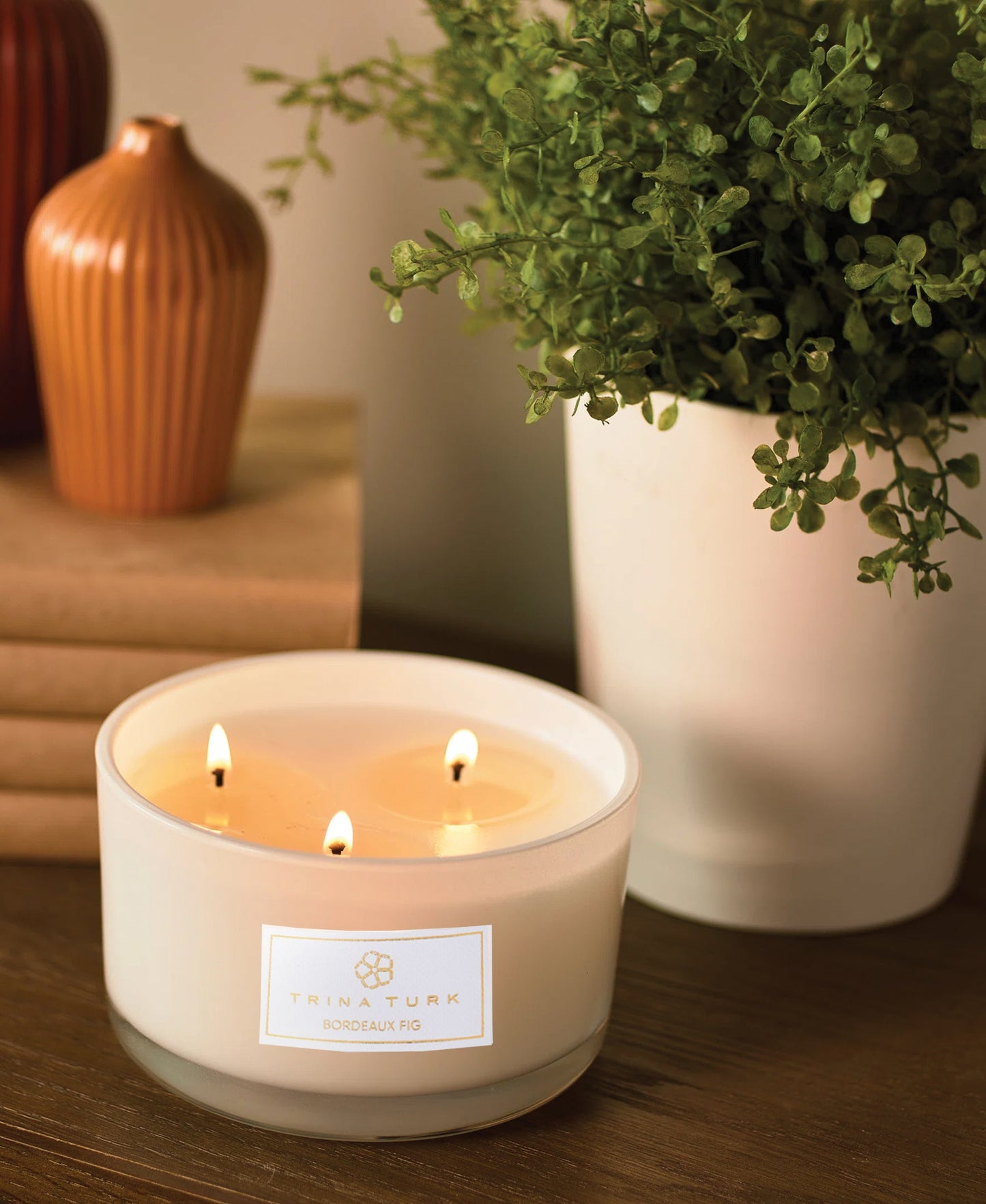 Bordeaux Fig Candle Jar with Cotton Wick