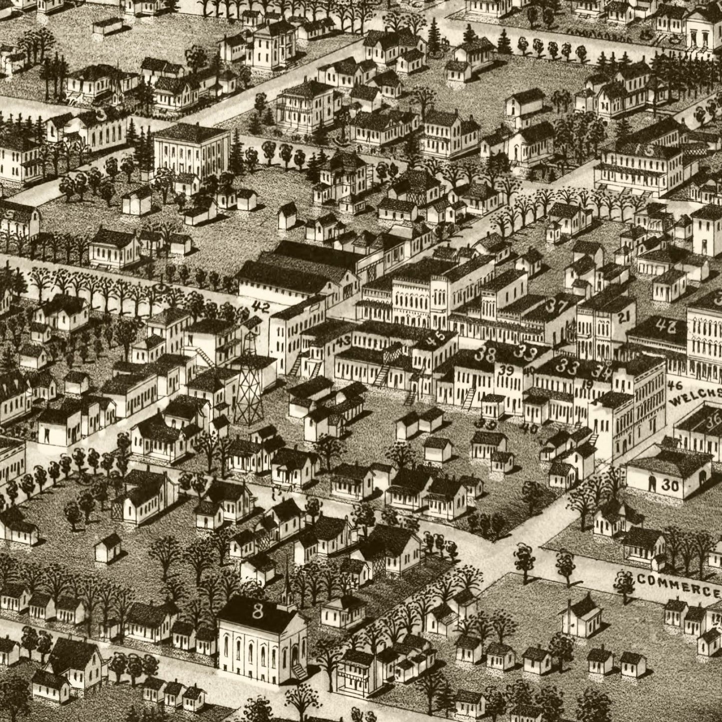 Vintage Map of Albany, Georgia 1885