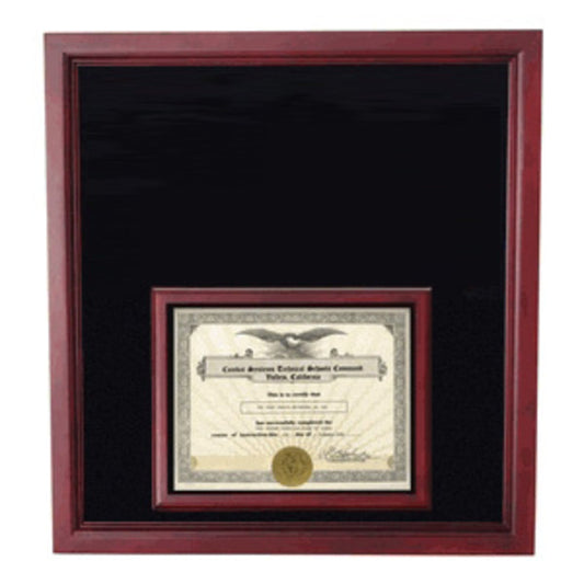 Extra Large Award Display Case in bottom.