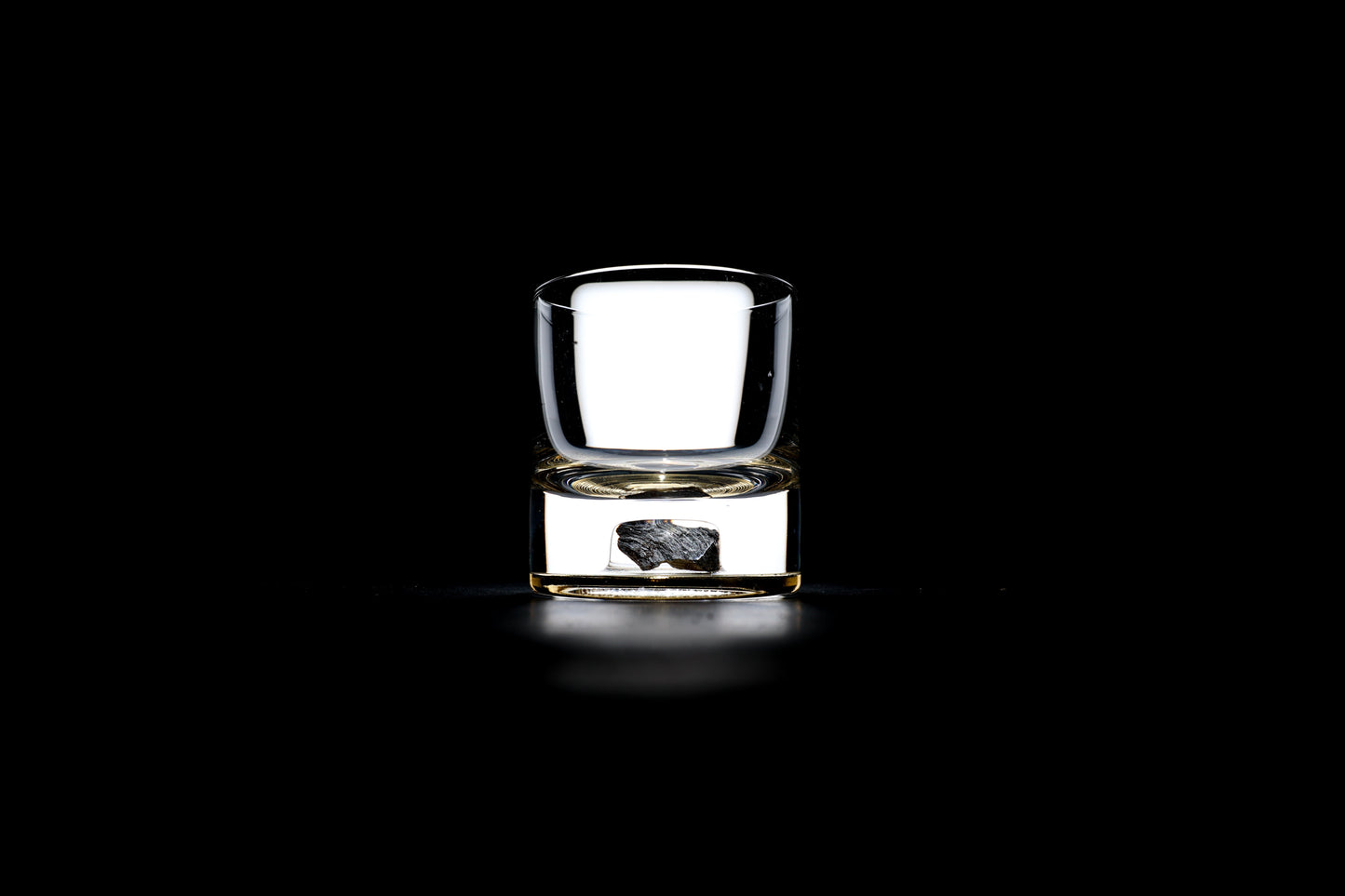 Dinosaur Bone Shard Tumbler (Series III) - Set of 2