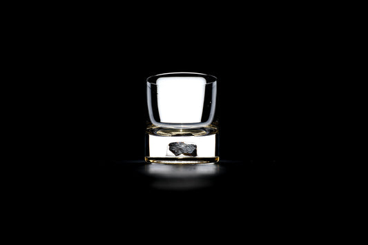 Dinosaur Bone Shard Tumbler (Series III) - Set of 2