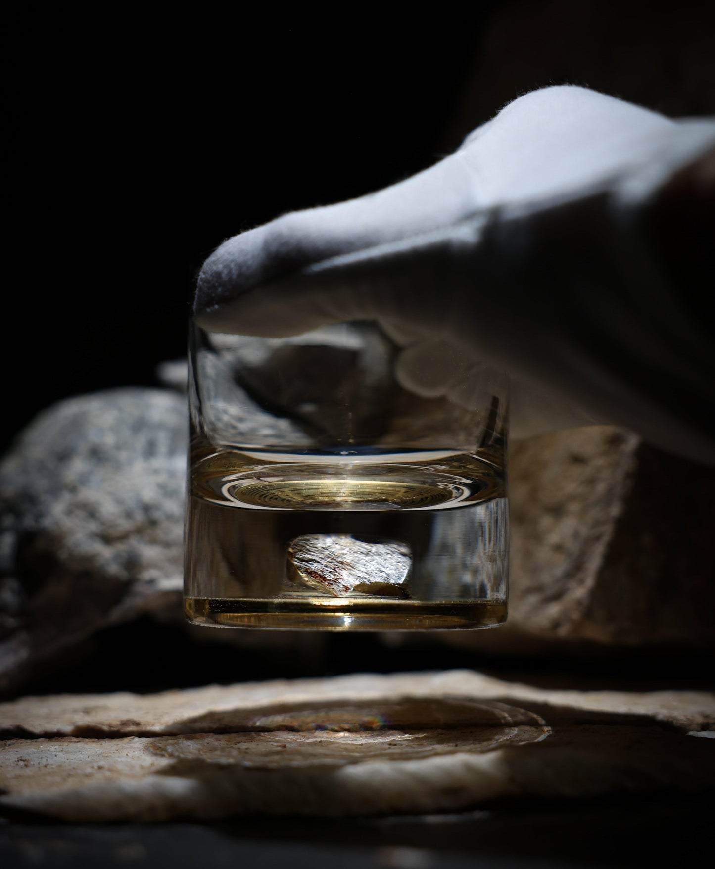 Dinosaur Bone Shard Tumbler (Series III) - Set of 2