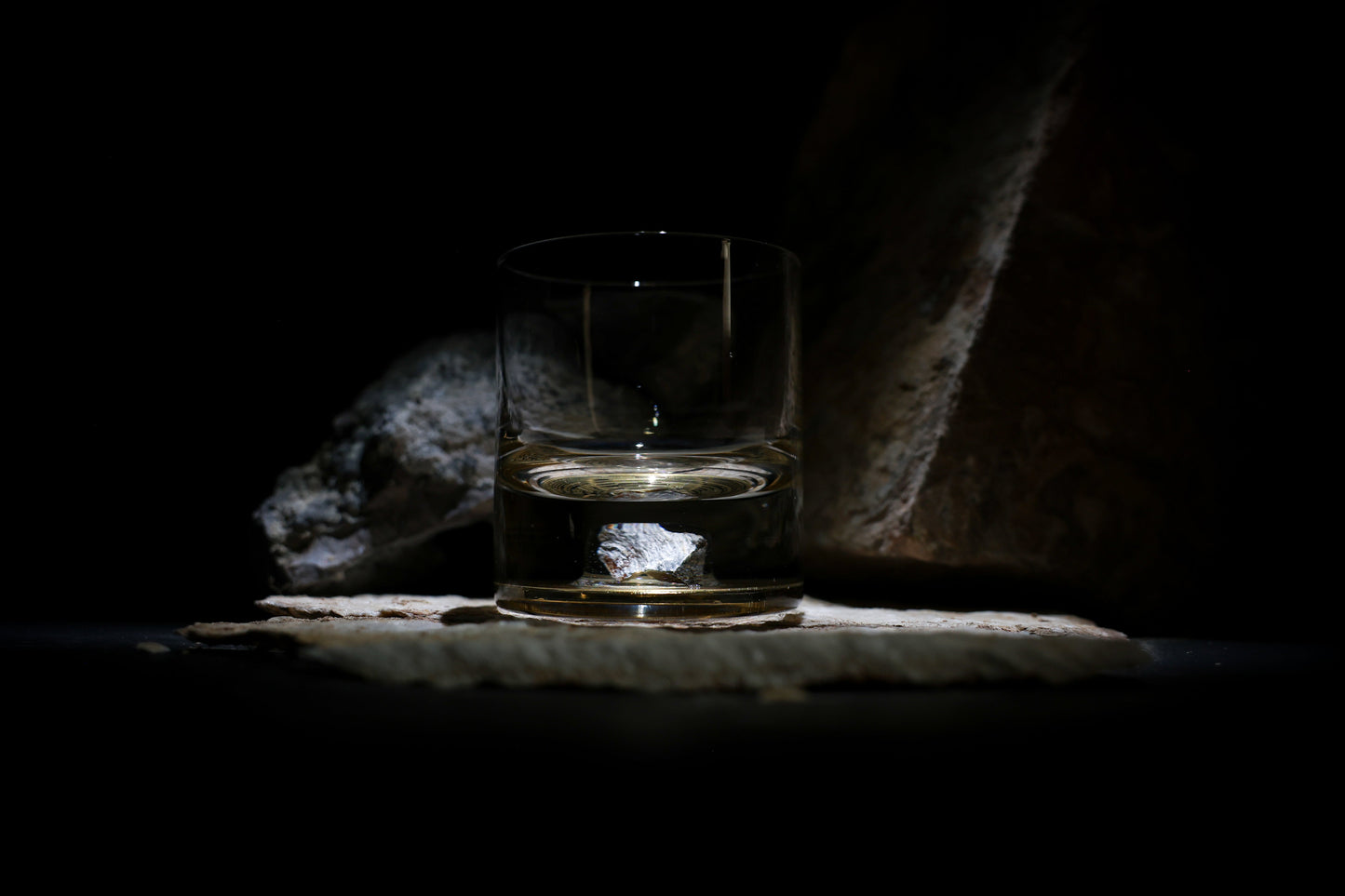 Dinosaur Bone Shard Tumbler (Series III) - Set of 2