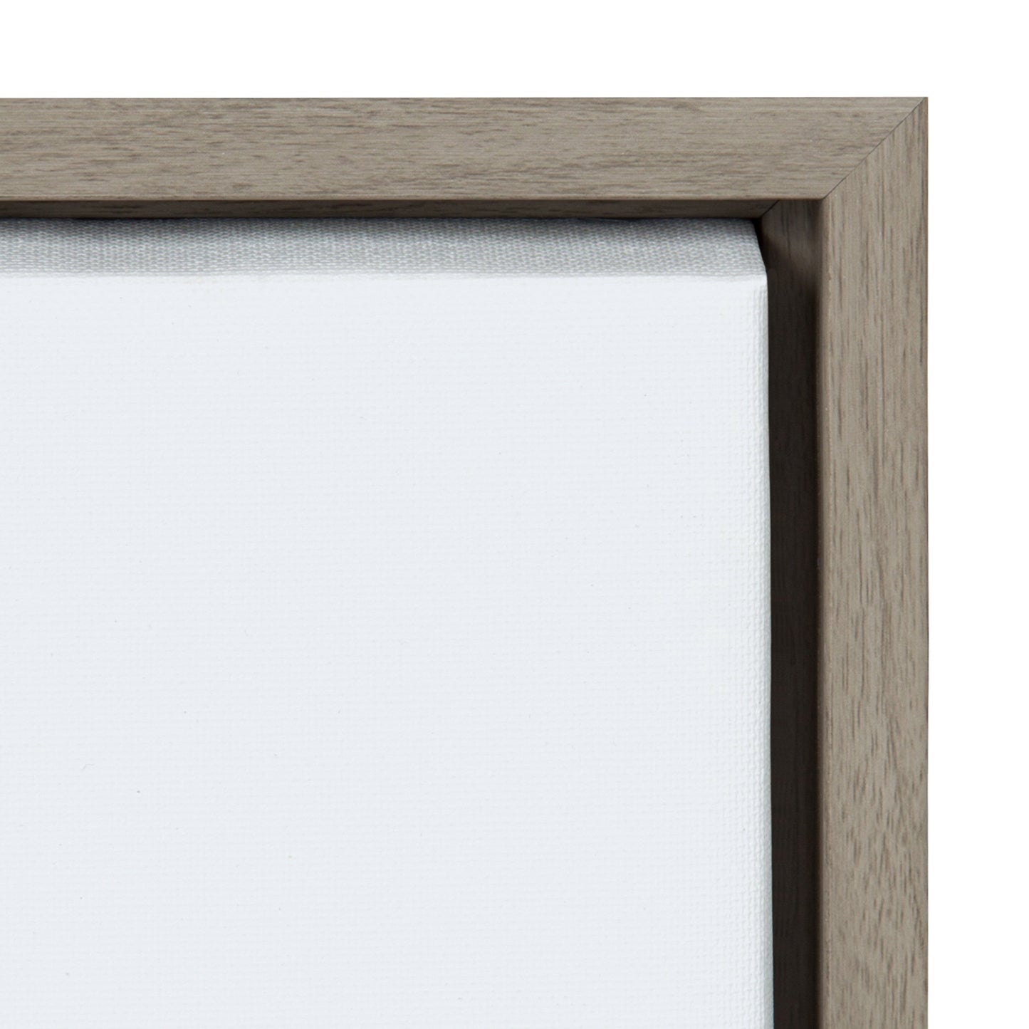 Sylvie Fogged Landscape Framed Canvas by Alicia Abla