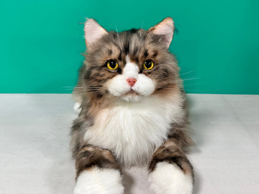 Plush Norwegian Forest Cat-Handmade Life-Size Companion & Pet Memorial