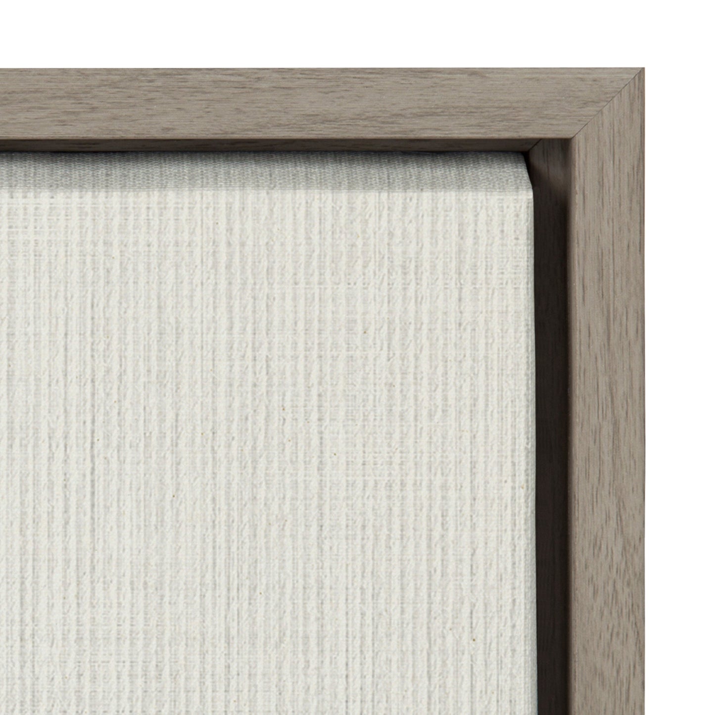 Sylvie Eucalyptus Botanical I Framed Canvas by The Creative Bunch Studio