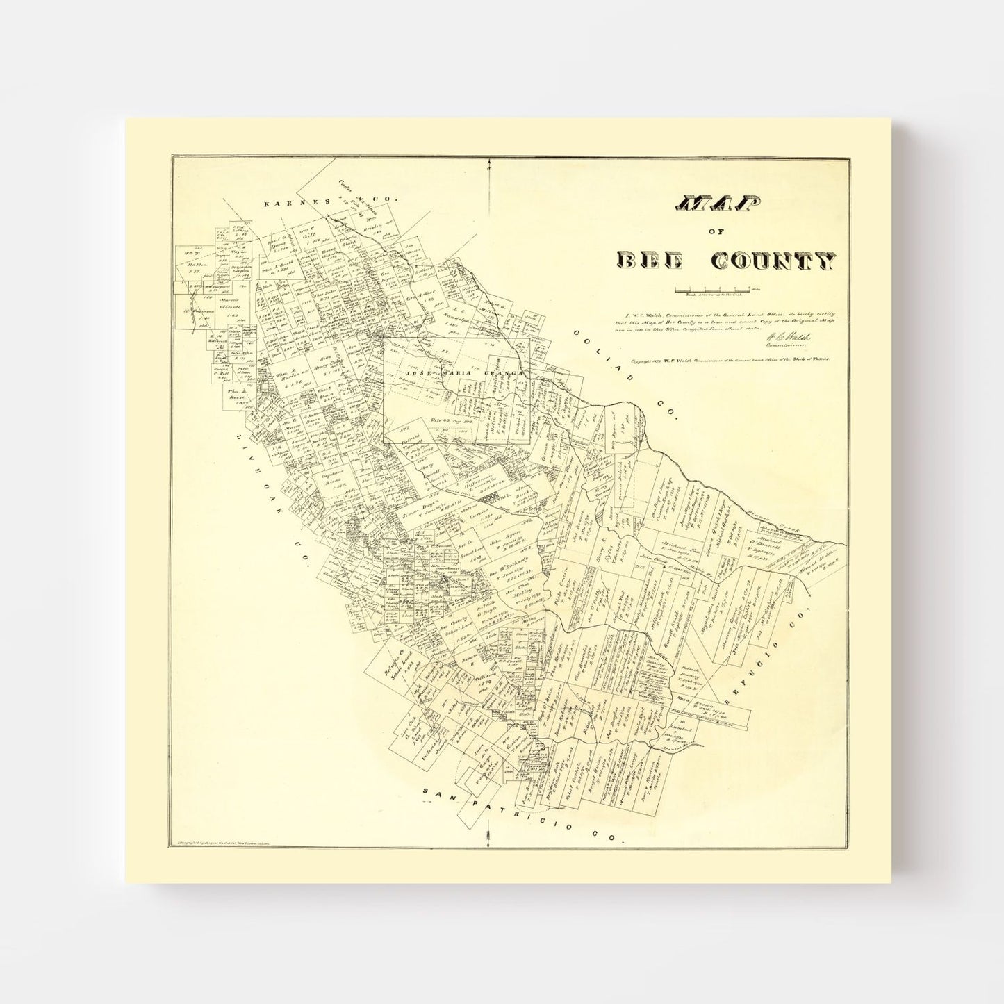 Vintage Map of Bee County, Texas 1879
