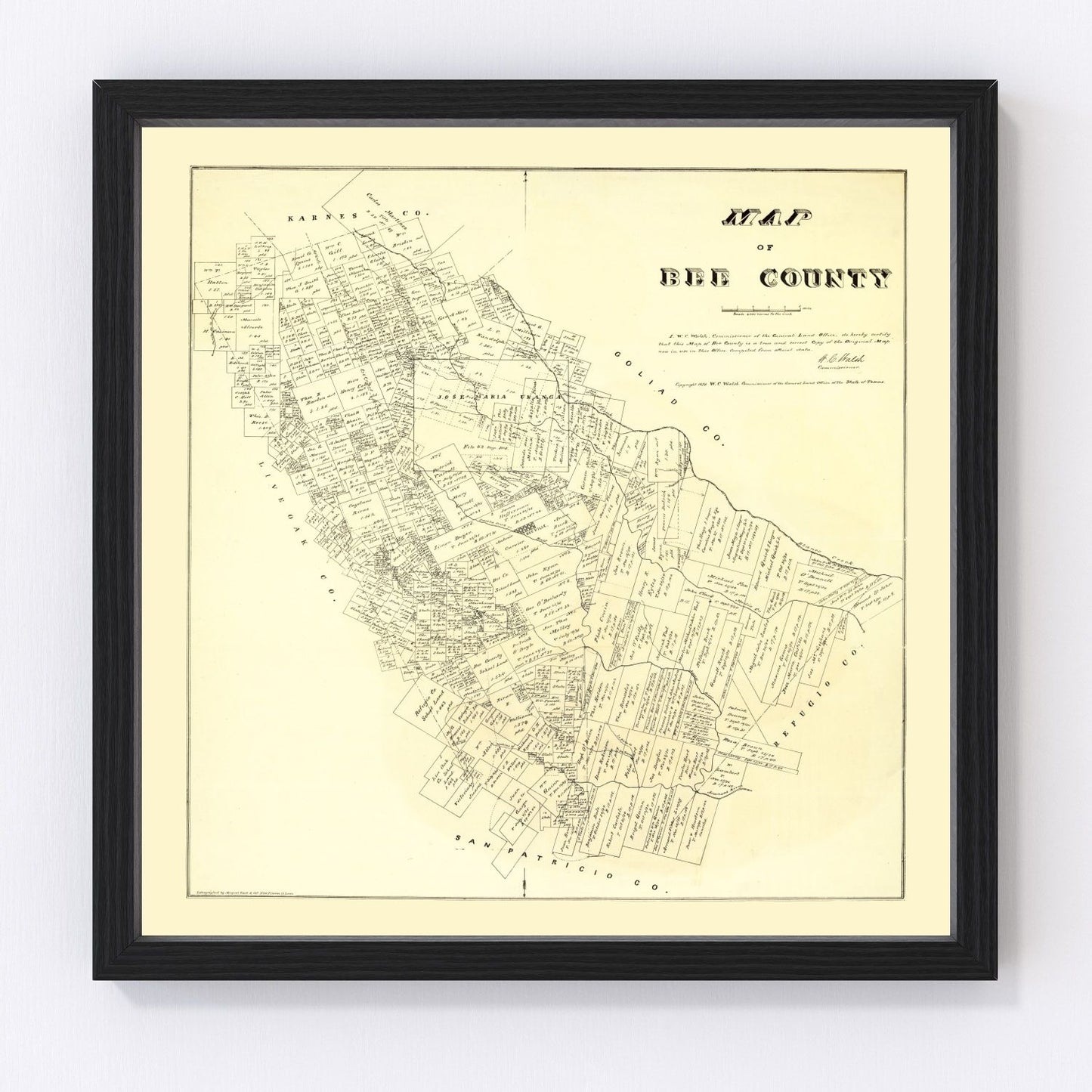 Vintage Map of Bee County, Texas 1879