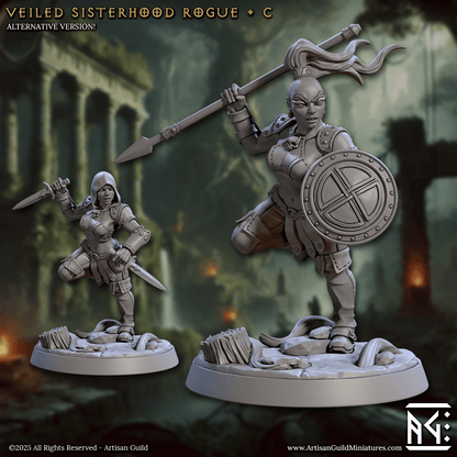 3D Printed Artisan Guild Veiled Sisterhood Rogues Veiled Sisterhood Set 28mm 32mm