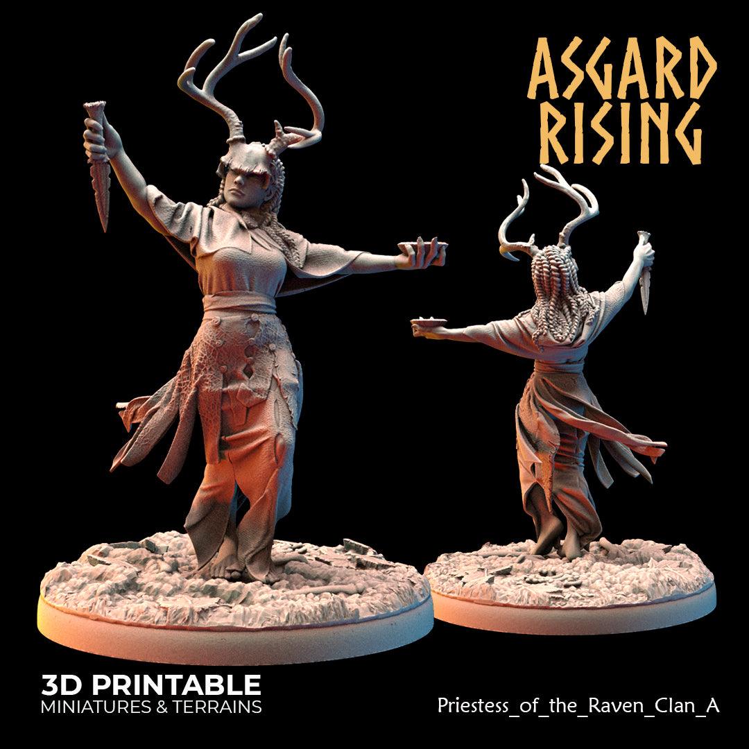 3D Printed Asgard Rising Hofgothi and Priestesses of the Raven Clan - 28 32mm Wargaming DnD