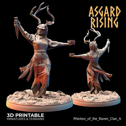 3D Printed Asgard Rising Hofgothi and Priestesses of the Raven Clan - 28 32mm Wargaming DnD
