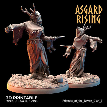 3D Printed Asgard Rising Hofgothi and Priestesses of the Raven Clan - 28 32mm Wargaming DnD