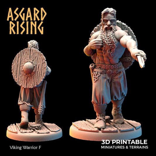 3D Printed Asgard Rising Viking Warriors Set 2 28 32 mm Wargaming DnD