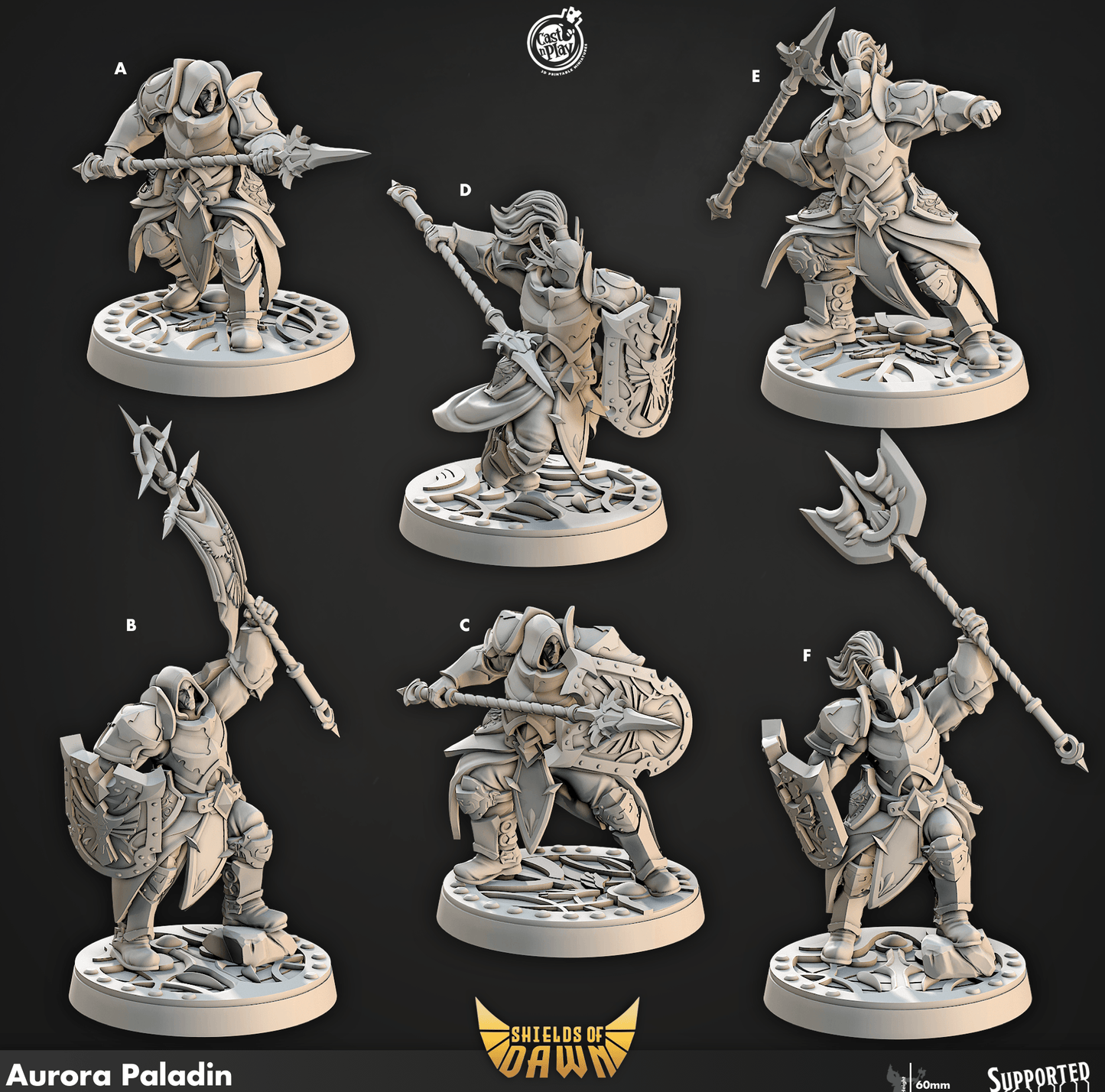 3D Printed Cast n Play Aurora Paladin Shields of Dawn 28mm 32mm D&D
