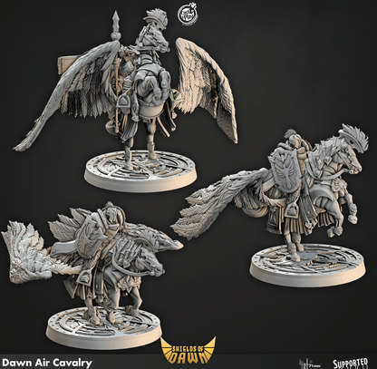 3D Printed Cast n Play Dawn Air Cavalry Shields of Dawn 28mm 32mm D&D