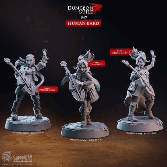 3D Printed Cast n Play Human Bard Dungeon Guild Set 28mm 32mm D&D