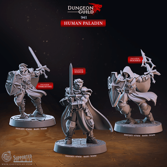 3D Printed Cast n Play Human Paladin Dungeon Guild Set 28mm 32mm D&D