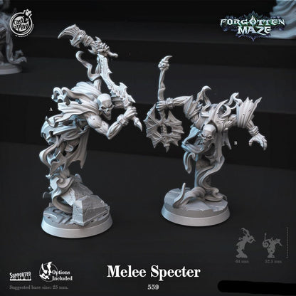 3D Printed Cast n Play Melee Specter Forgotten Maze 28mm 32mm D&D