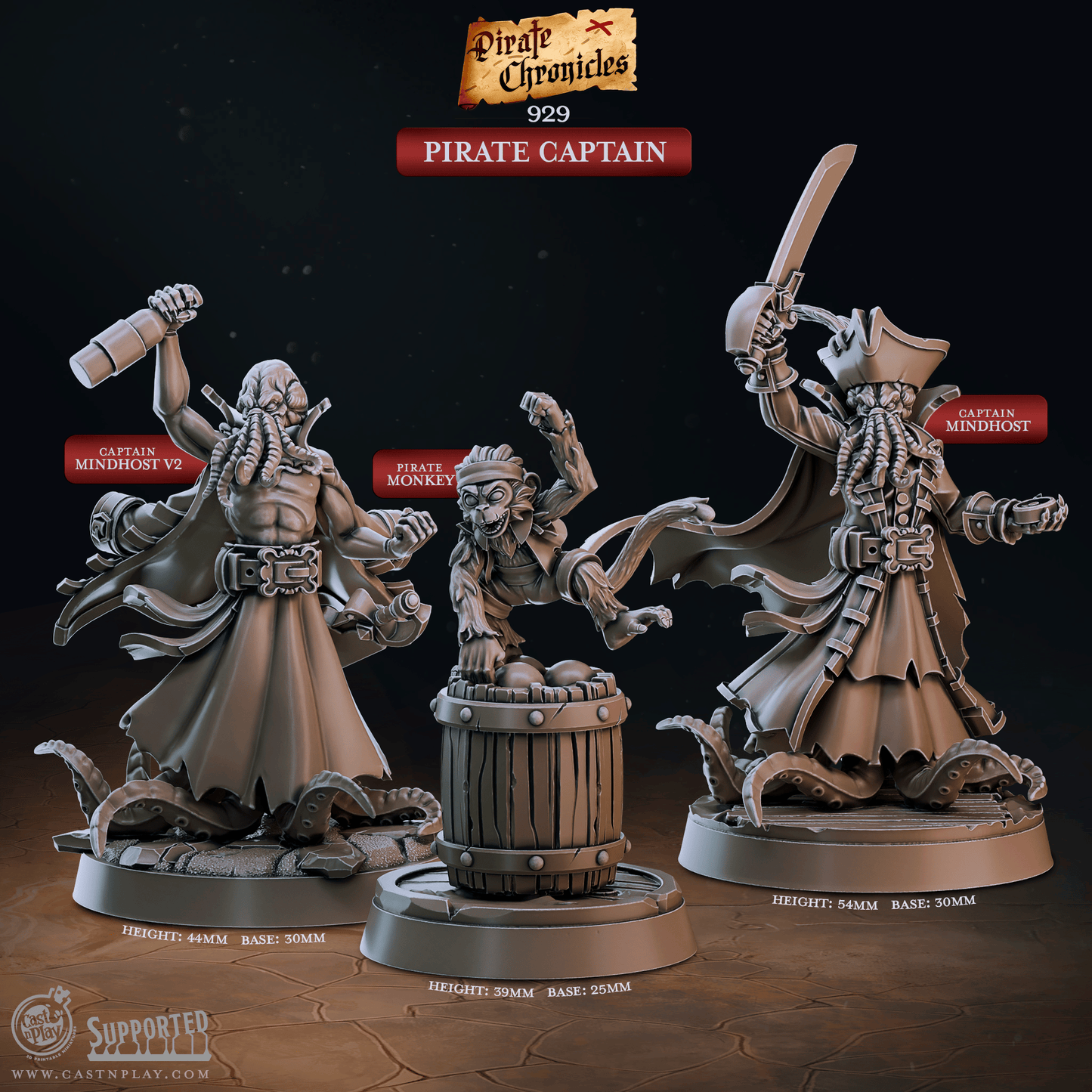 3D Printed Cast n Play Pirate Chronicles Collection 28mm 32mm D&D