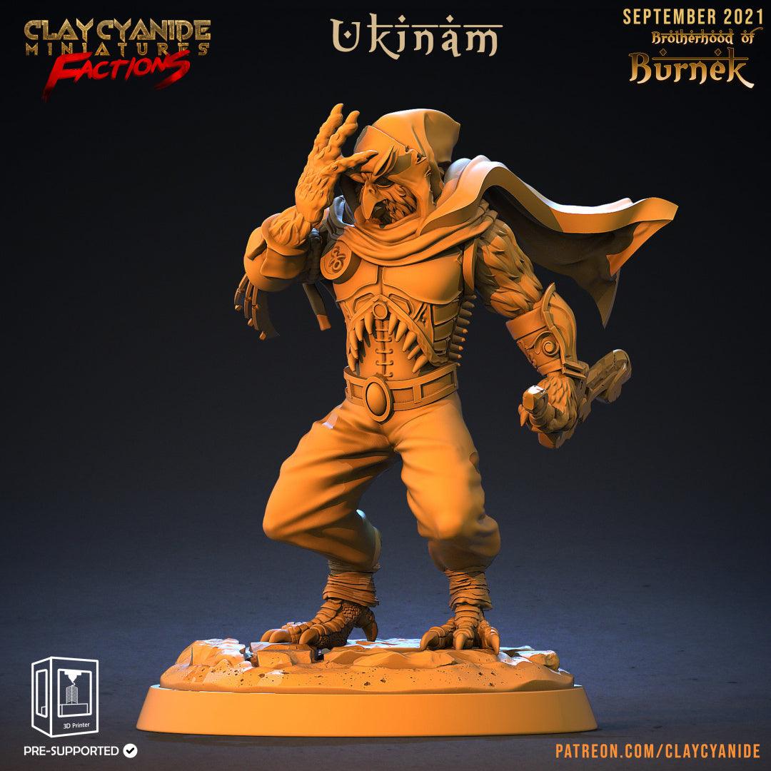 3D Printed Clay Cyanide Burneks Birdmen Owlmen Factions Ragnarok D&D