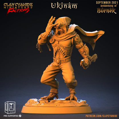 3D Printed Clay Cyanide Burneks Birdmen Owlmen Factions Ragnarok D&D