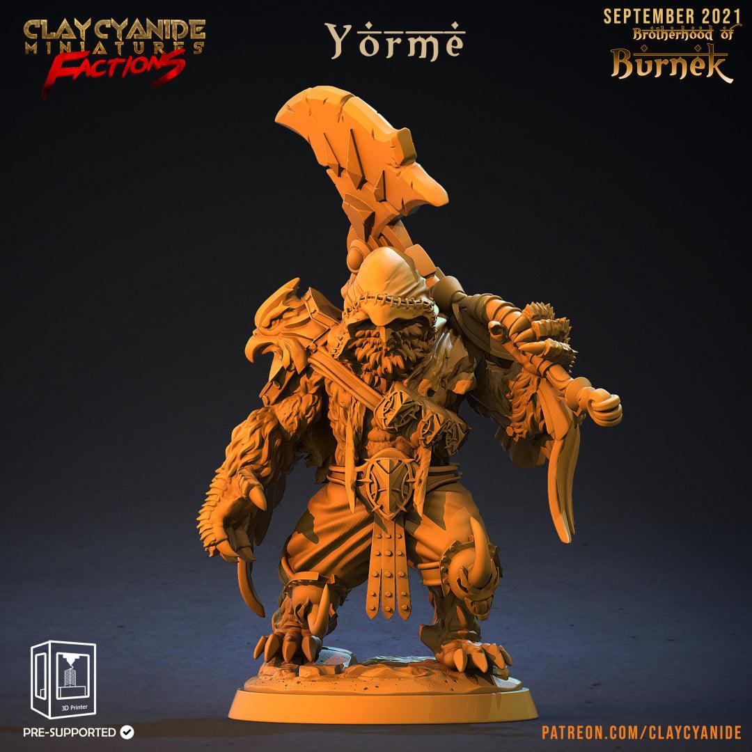 3D Printed Clay Cyanide Burneks Birdmen Owlmen Factions Ragnarok D&D