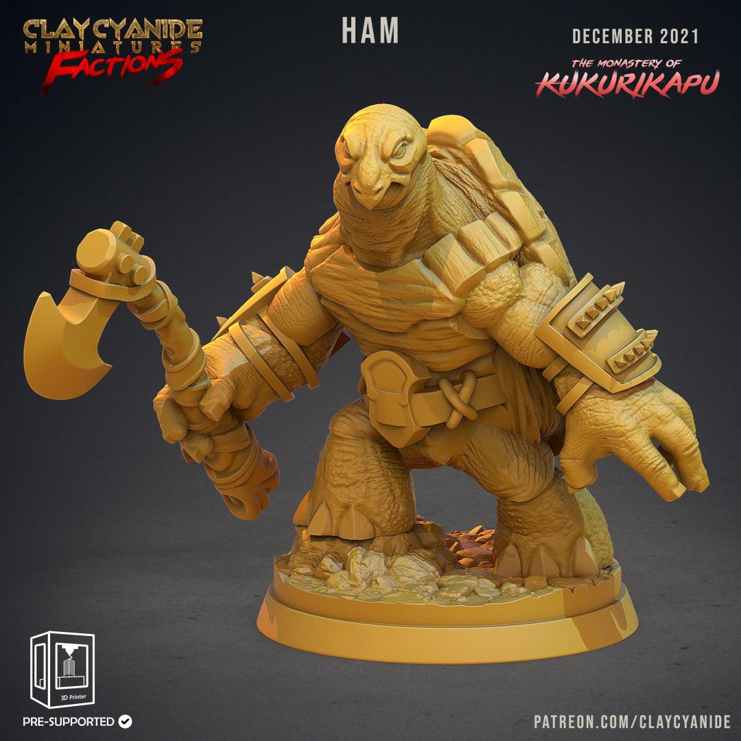 3D Printed Clay Cyanide Kukurikapu Monastery of Turtle-folk Factions Ragnarok D&D
