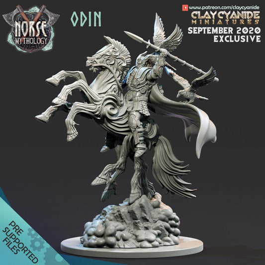 3D Printed Clay Cyanide Odin Norse Mythology 28 32 mm D&D