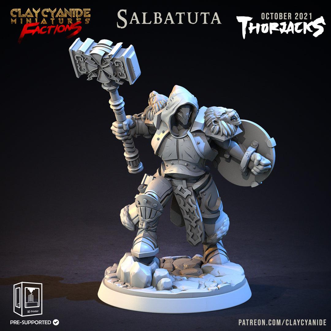 3D Printed Clay Cyanide Thorjacks Tribes Factions Ragnarok D&D