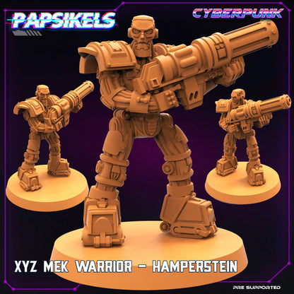 3D Printed Papsikels Cyberpunk Sci-Fi XYZ Mek Warrior Set - 28mm 32mm